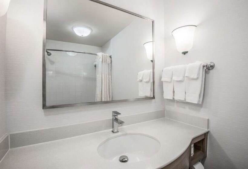 اتاق لوکس با چشم‌انداز دریاچه, Hilton Garden Inn Wichita