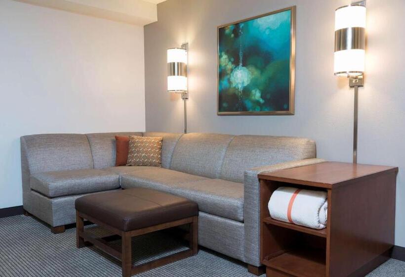 キングサイズベッドのスタンダードルーム, Hyatt Place Sarasota/bradenton