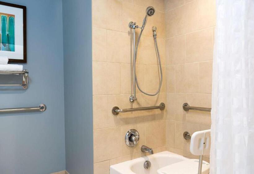 身障者適用キングサイズベッドルーム, Hyatt Place Sarasota/bradenton