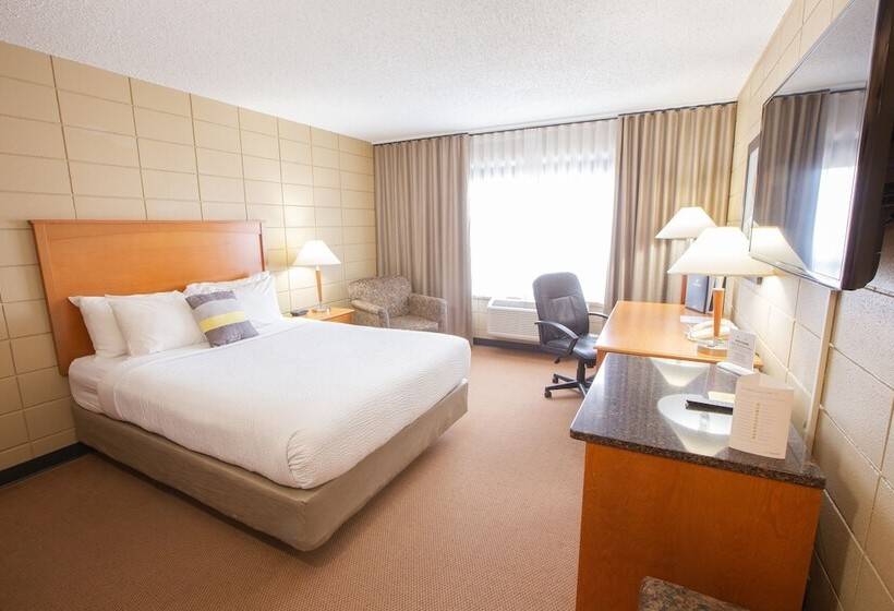 デラックスルーム, Neighbourhood Inn Hotels In Bonnyville
