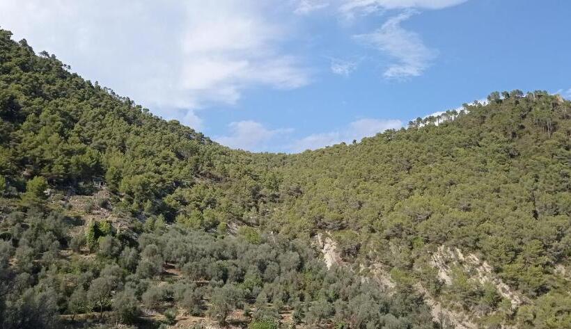 اتاق استاندارد یک نفره, Agriturismo Vecchio Frantoio