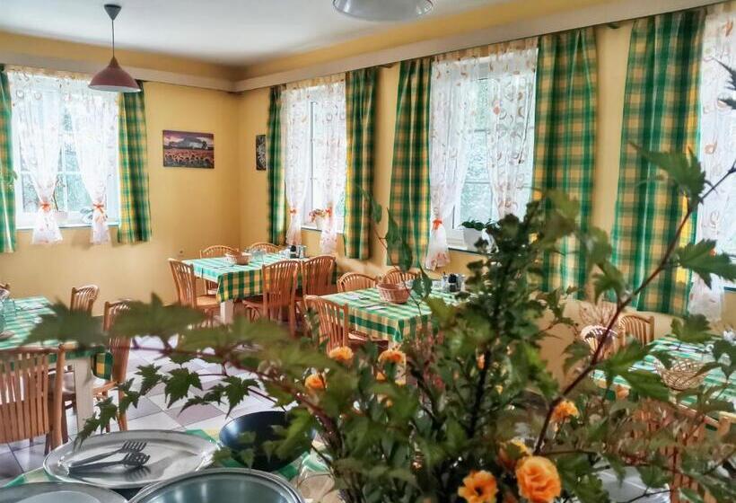 Люкс Повышенной Комфортности, Penzion Pastviny