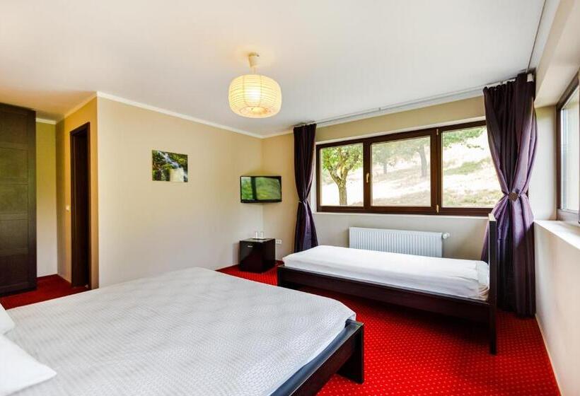 اتاق استاندارد سه نفره, Pensiunea Decebal Resort   Cazanele Dunarii