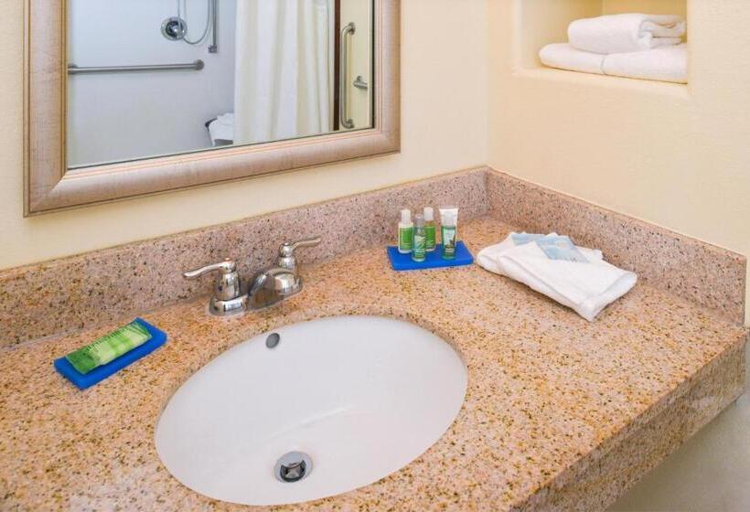 キングサイズベッドのスイートルーム, Holiday Inn Express & Suites Alamosa, An Ihg