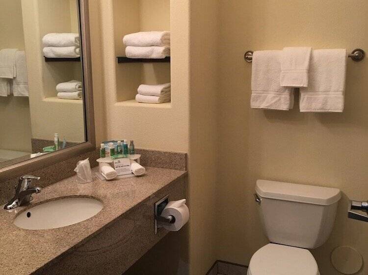 スイート, Holiday Inn Express & Suites Alamosa, An Ihg