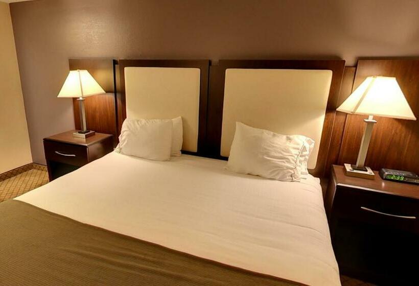 Стандартный Номер Кровать Кинг, Holiday Inn Express Hotel & Suites Blythewood, An Ihg