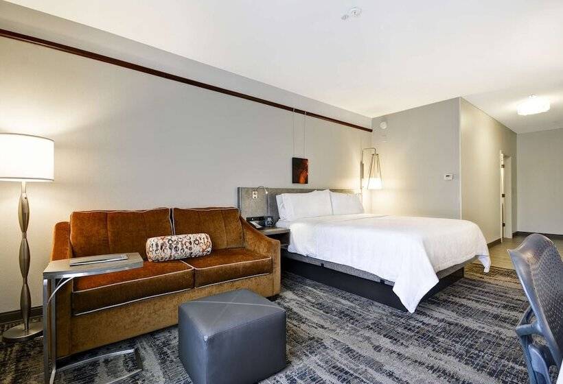 Номер Deluxe, Hilton Garden Inn Austin/round Rock