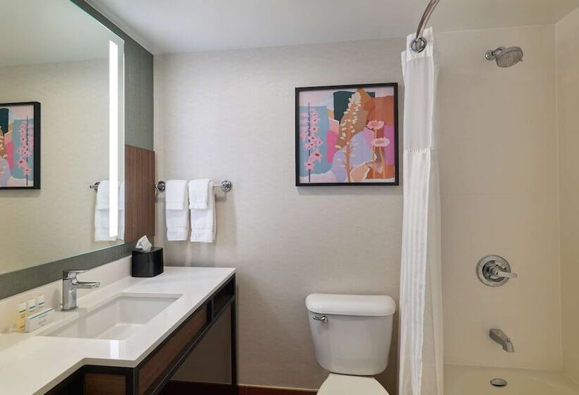 Camera Premium, Hilton Garden Inn Bloomington