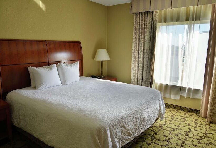 Номер Стандарт, Hilton Garden Inn Hattiesburg