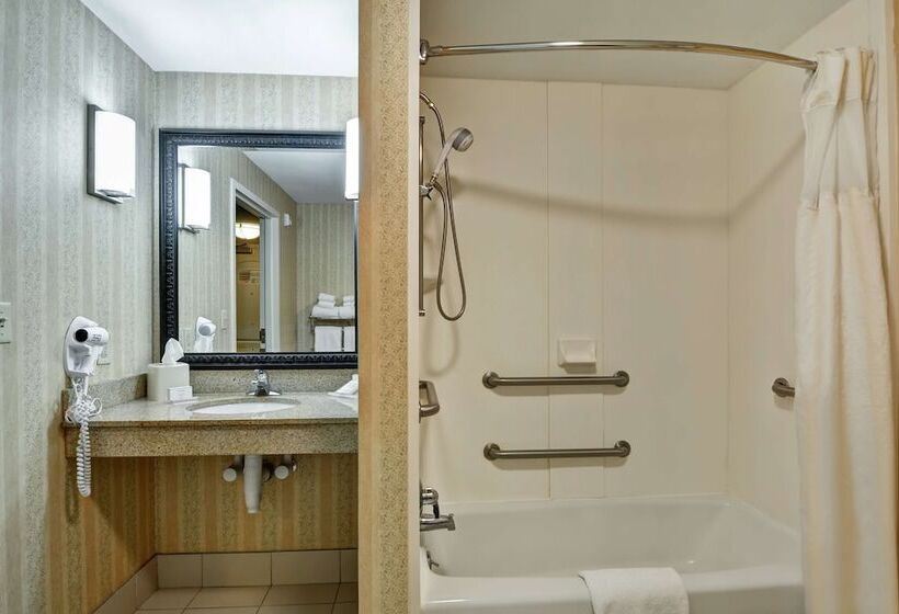 Номер Стандарт Адаптированный для Инвалидов, Hilton Garden Inn Hattiesburg