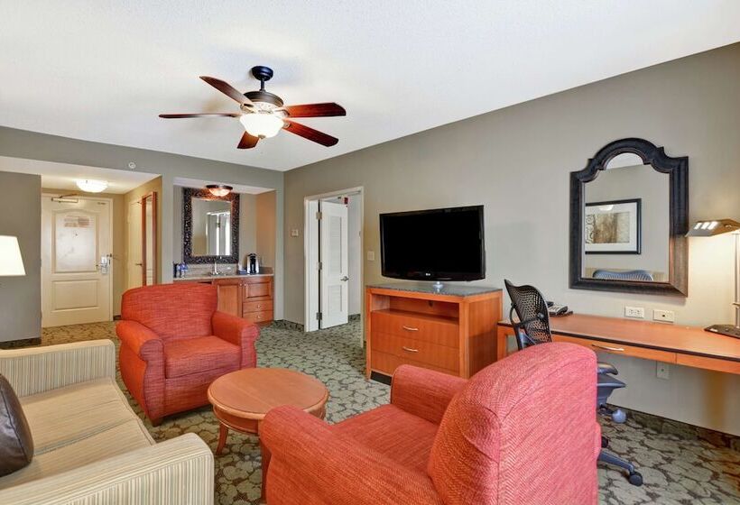 Номер Стандарт, Hilton Garden Inn Hattiesburg