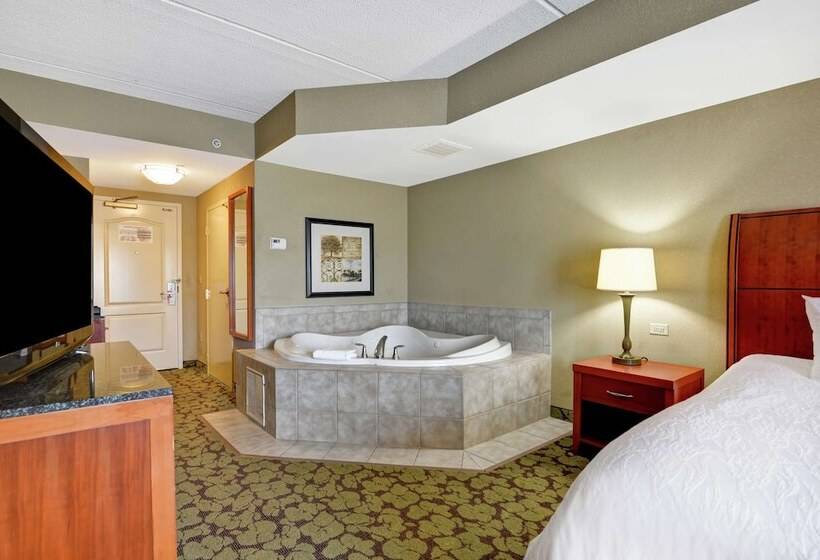 Номер Стандарт, Hilton Garden Inn Hattiesburg