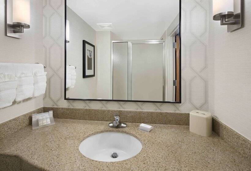 스탠다드 룸, Hilton Garden Inn Jackson/madison