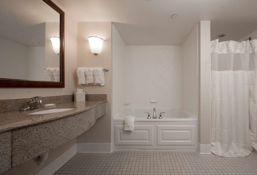 스위트, Hilton Garden Inn Jackson/madison