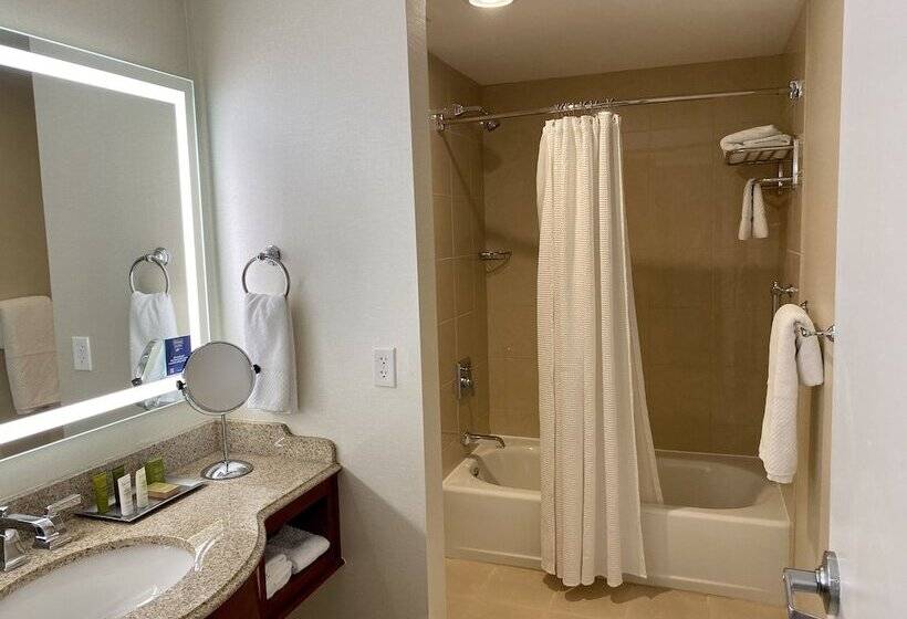 适合残疾人使用的标准间, Hilton President Kansas City