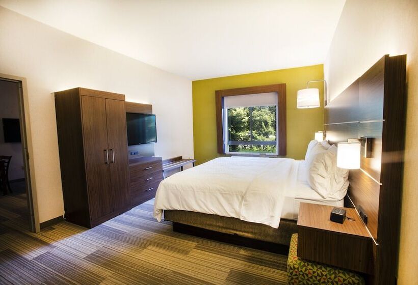 Люкс, Holiday Inn Express Hotel & Suites Bethlehem Airport/allentown Area, An Ihg