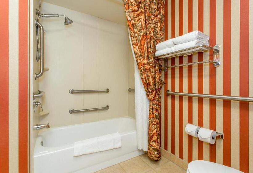 Quarto Standard Cama King para Deficientes, Holiday Inn Express & Suites Bloomington, An Ihg