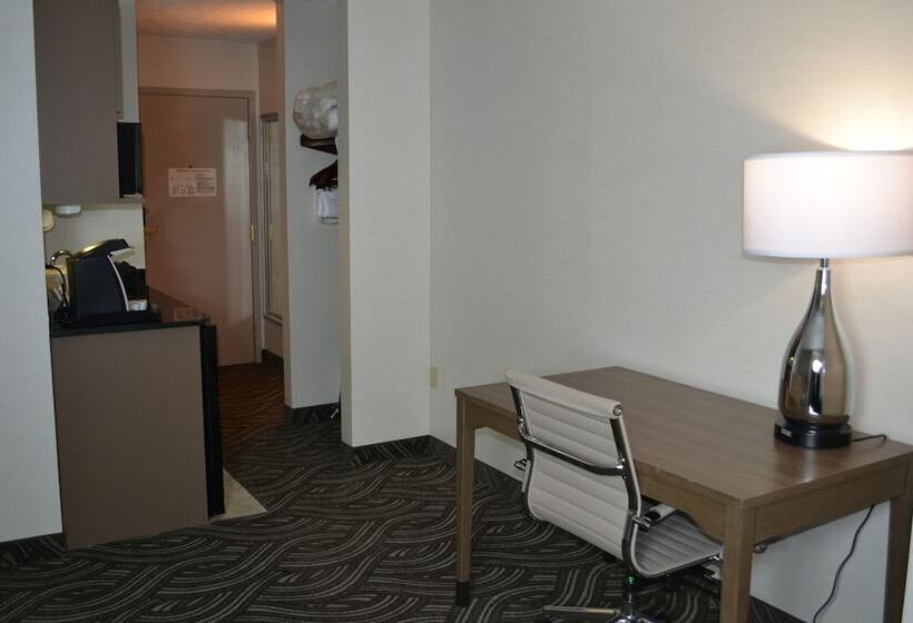 스탠다드 룸, Holiday Inn Express & Suites Kent   University Area By Ihg