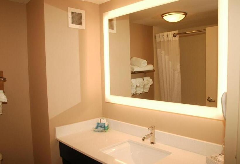 Номер Стандарт, Holiday Inn Express Birmingham Irondale East, An Ihg