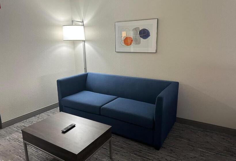 Люкс, Holiday Inn Express Birmingham Irondale East, An Ihg