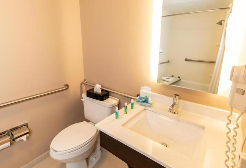 Номер Стандарт Кровать Кинг Адаптированный для Инвалидов, Holiday Inn Express Birmingham Irondale East, An Ihg