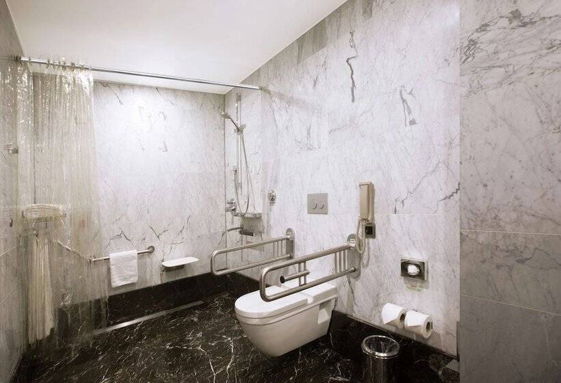 ダブルベッドスタンダードルーム, Doubletree By Hilton  Istanbul  Old Town