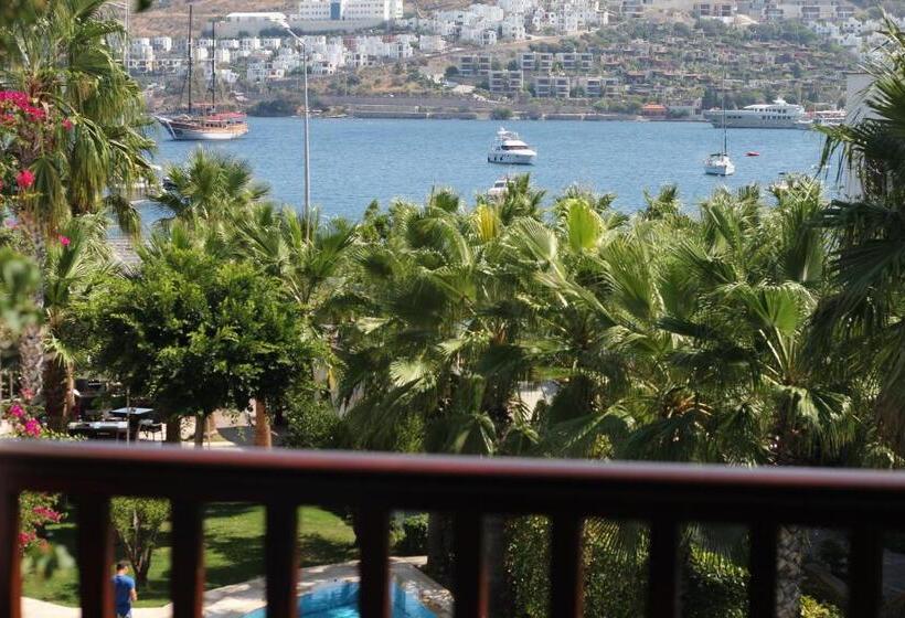 اتاق استاندارد, Olira Boutique Hotel&spa