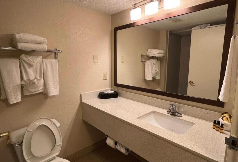 Номер Executive Кровать Кинг, Sky Point Hotel & Suites   Atlanta Airport