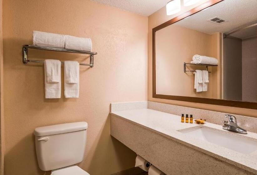 Люкс Кровать Кинг, Sky Point Hotel & Suites   Atlanta Airport