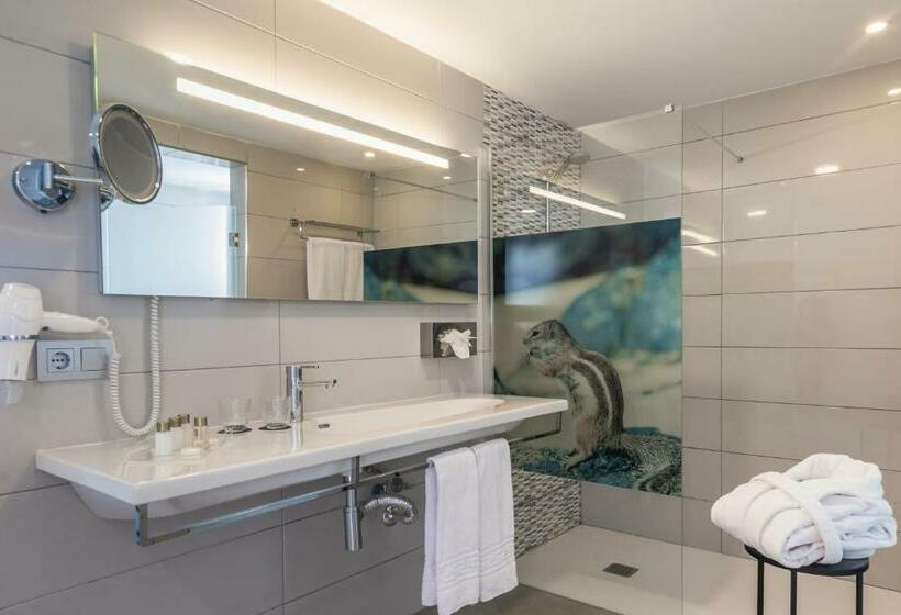 Номер Стандарт, Aparthotel Esquinzo y Monte del Mar