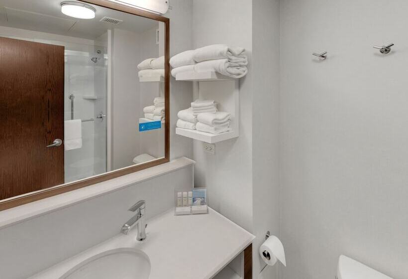 Стандартный Номер Кровать Кинг, Hampton Inn Majestic Chicago Theatre District