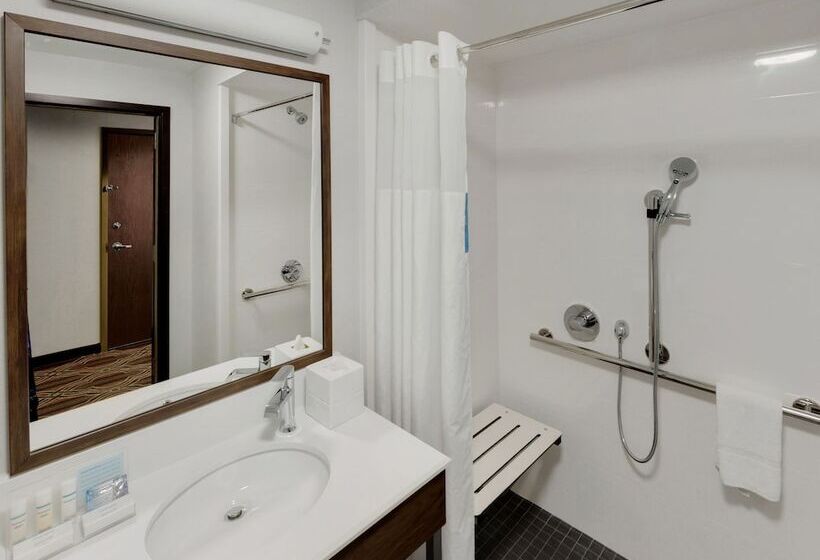 Номер Стандарт Адаптированный для Инвалидов, Hampton Inn Majestic Chicago Theatre District