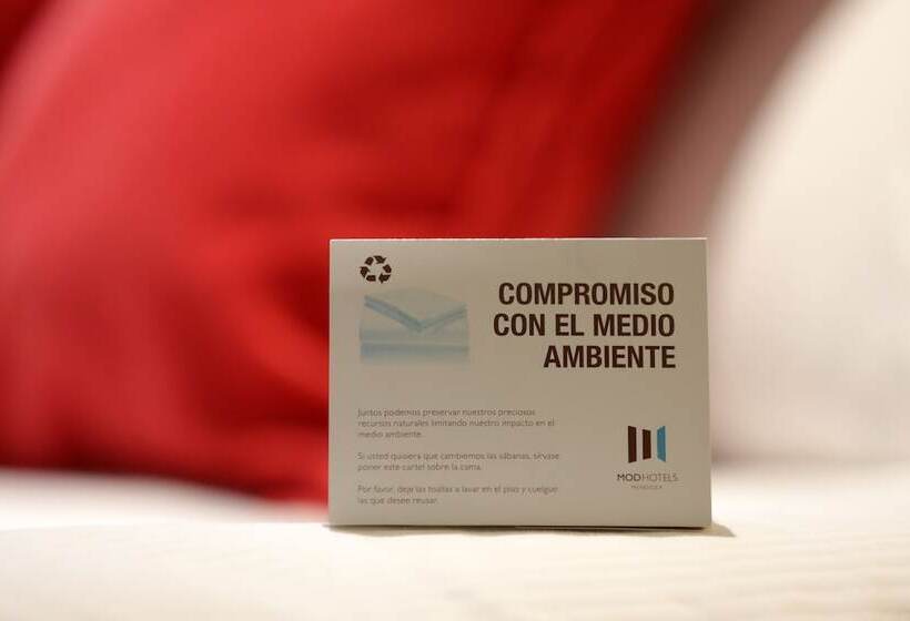 غرفة قياسية, Mod Hotels Mendoza