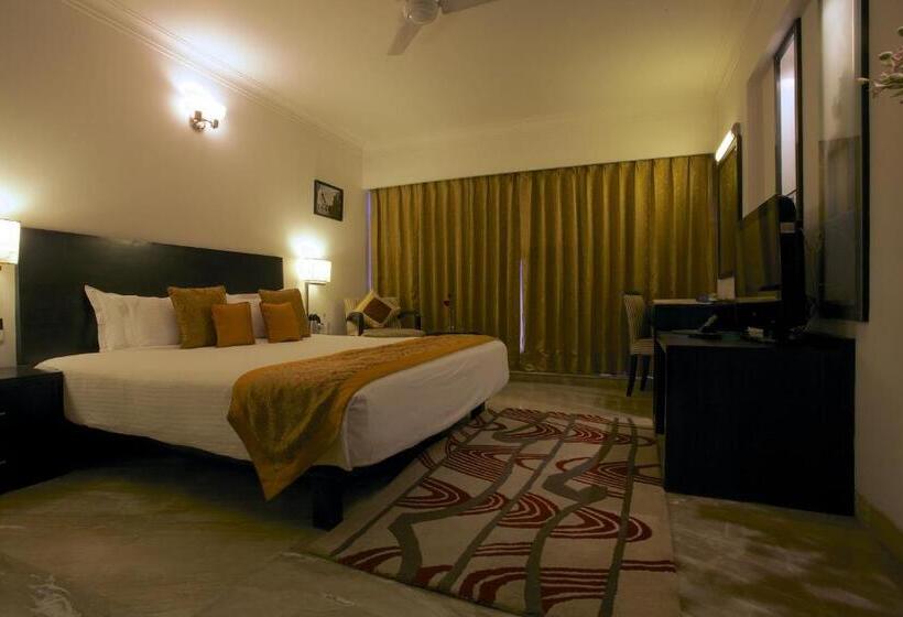 جناح, The Wall Street Beacon, Jaipur