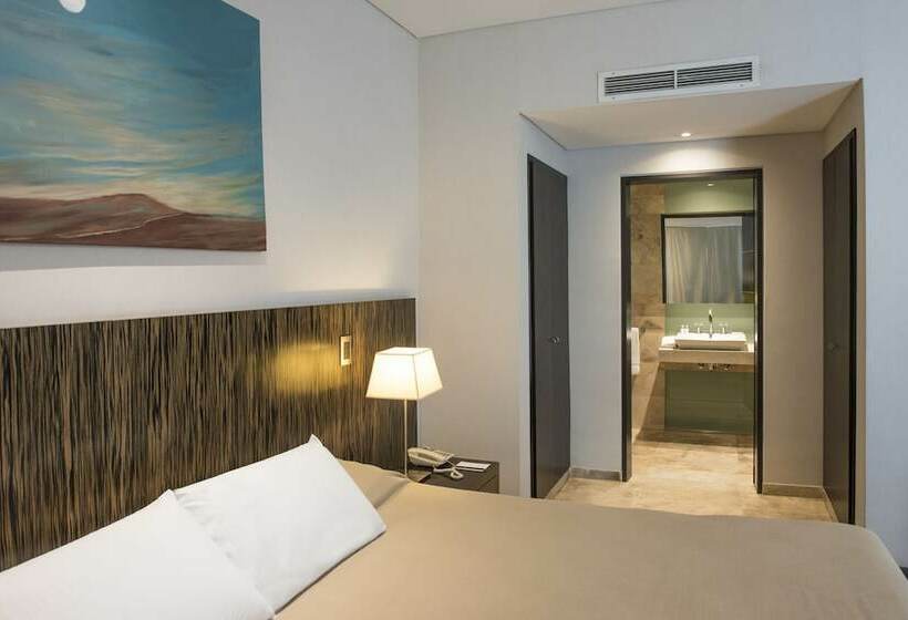 غرفة تنفيذية, Mod Hotels Mendoza