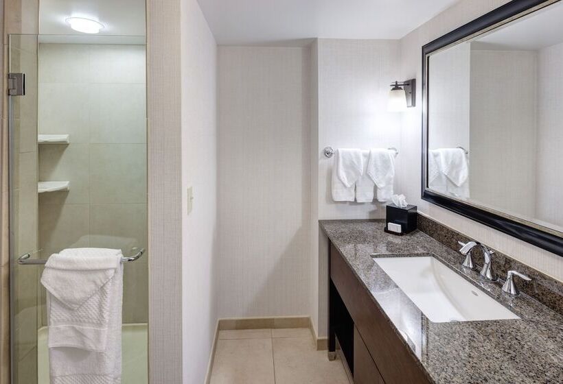 Люкс Премиум, Embassy Suites Anchorage