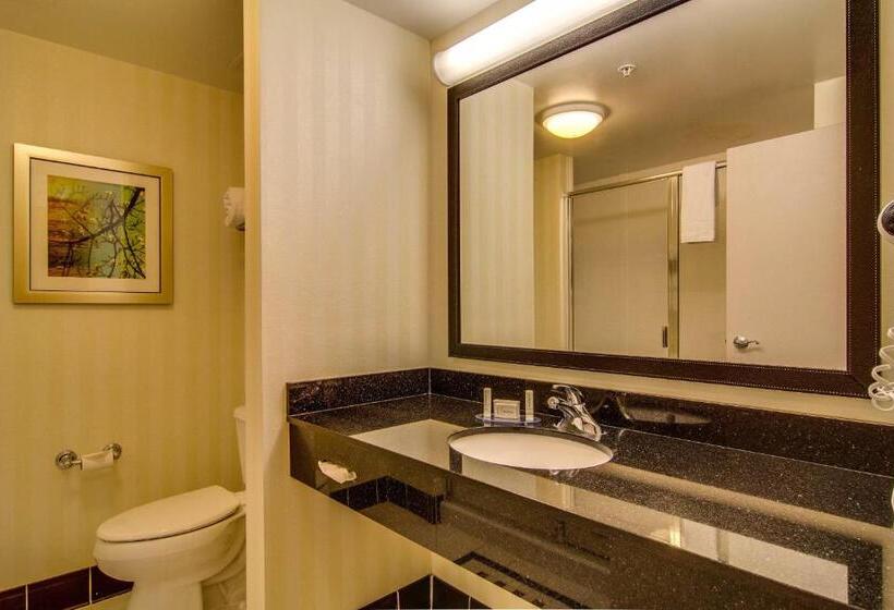 Номер Стандарт, Fairfield Inn & Suites Palm Coast I95