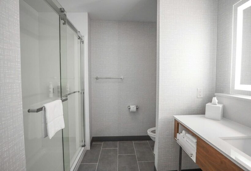 Habitació Estàndard, Hampton Inn & Suites Bay City, Tx
