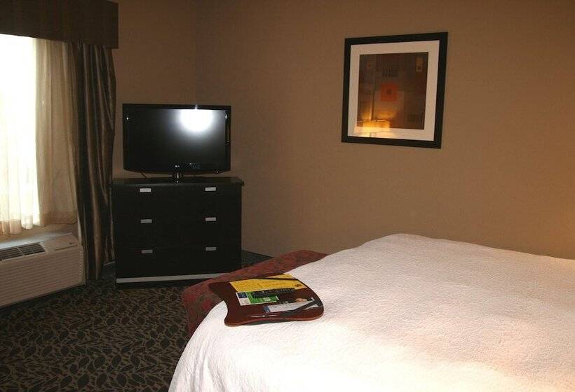 Habitació Estàndard, Hampton Inn & Suites Bay City, Tx