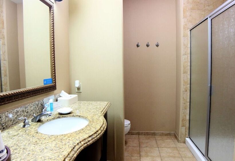 Номер Стандарт, Hampton Inn Seguin
