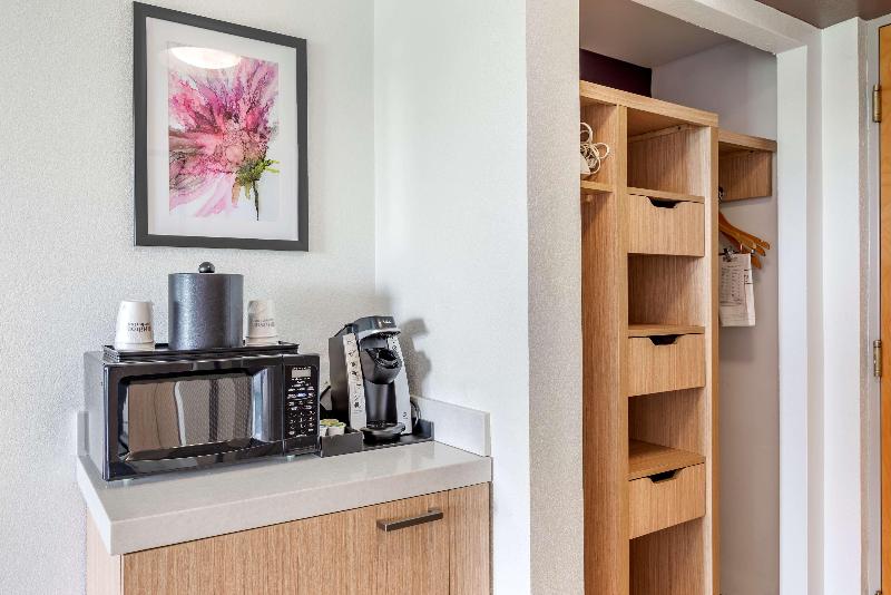 Стандартный Номер Кровать Кинг, Hilton Garden Inn Atlanta Ne/gwinnett Sugarloaf