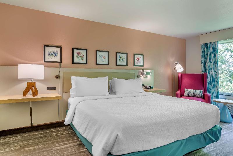 Стандартный Номер Кровать Кинг, Hilton Garden Inn Atlanta Ne/gwinnett Sugarloaf