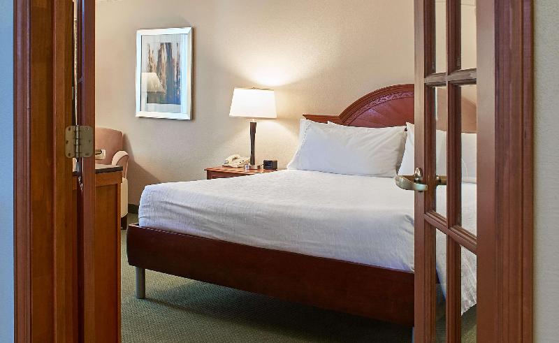 Люкс Кровать Кинг, Hilton Garden Inn Atlanta Ne/gwinnett Sugarloaf