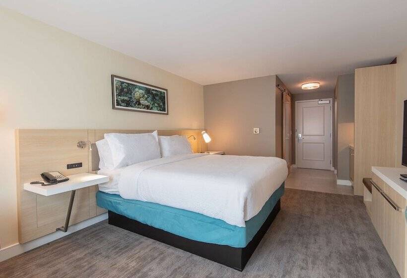 장애인을 위한 스탠다드 룸, Hilton Garden Inn Calabasas