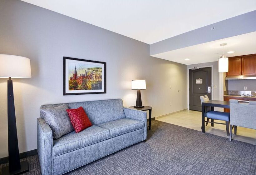 Люкс Адаптированный для Инвалидов, Homewood Suites By Hilton Ithaca
