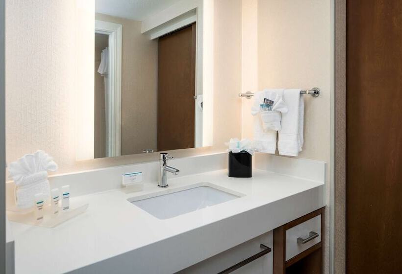 Люкс, Homewood Suites By Hilton Salt Lake Citydowntown