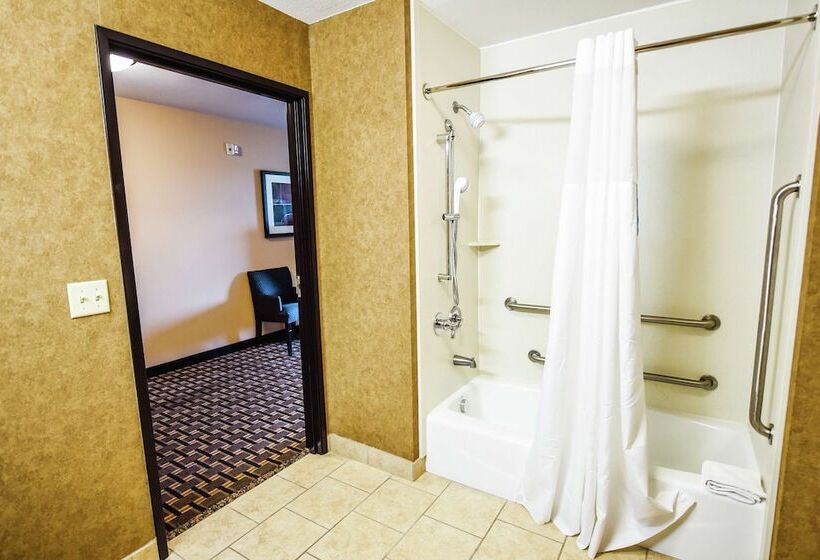 Номер Стандарт Адаптированный для Инвалидов, Hampton Inn And Suites Pine Bluff