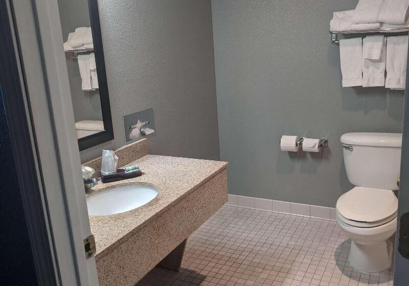 带大床的标准工作室, Hampton Inn And Suites Pine Bluff