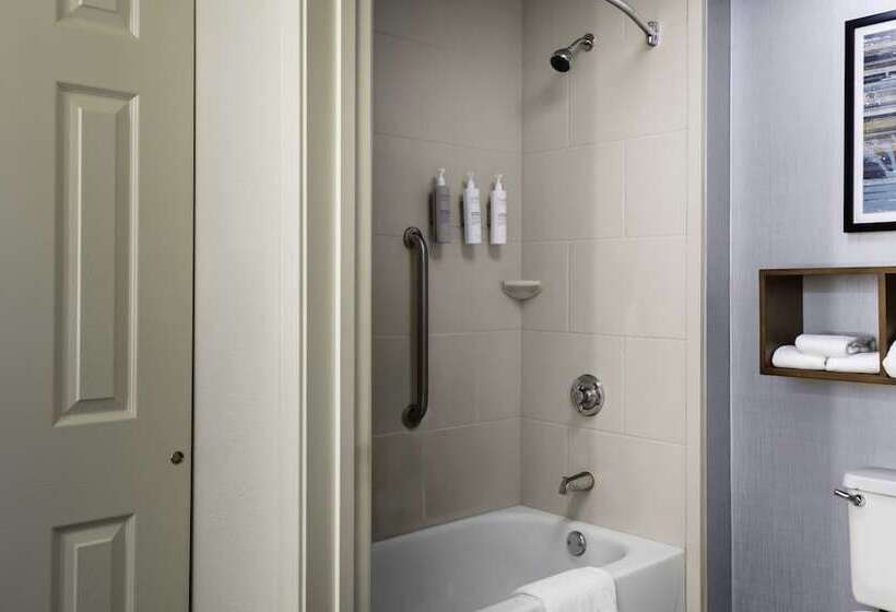 Люкс, Homewood Suites By Hilton St. Louis  Galleria