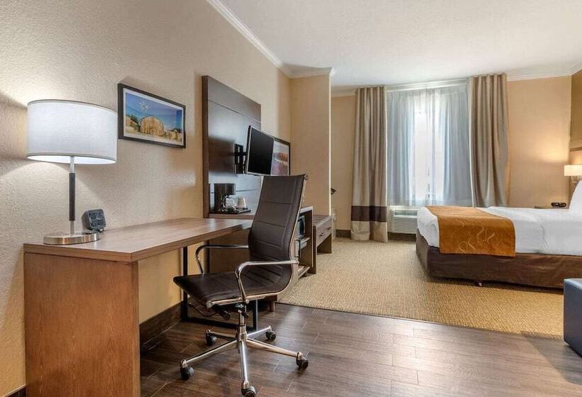 סוויטה, Comfort Suites Baytown I   10